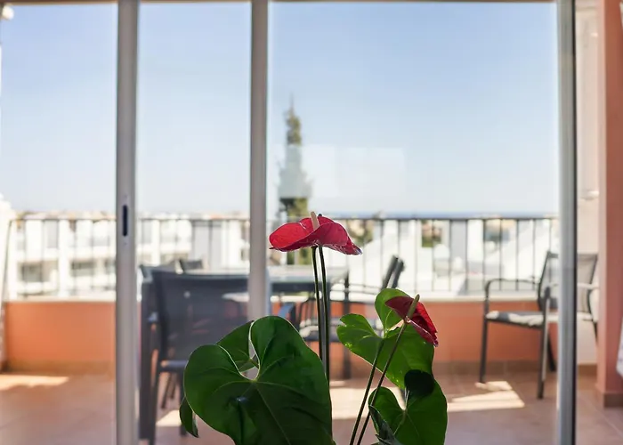 Apartment Deluxe Figos By Ocvillas Albufeira