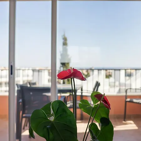 Apartamento Deluxe Figos By Ocvillas Albufeira